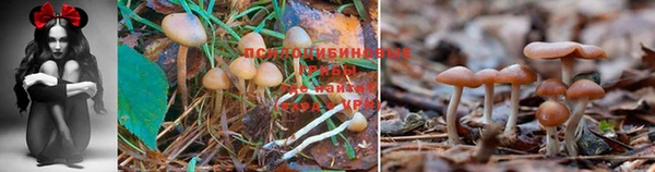 амфетамин Медногорск