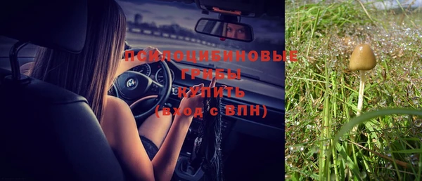 бошки Медвежьегорск
