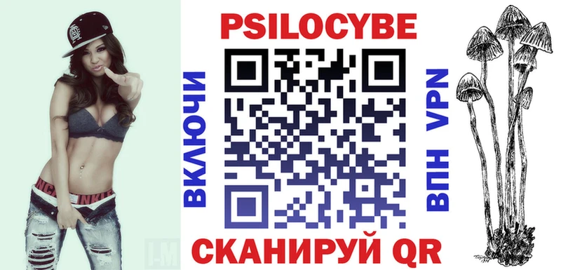 где купить наркоту  Сунжа  Псилоцибиновые грибы мицелий 